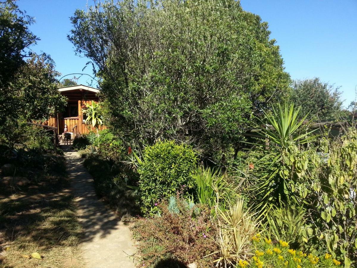 Veki'S Village Cottages ムババーネ エクステリア 写真